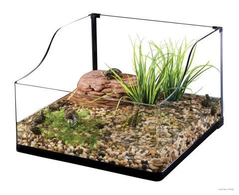 turtle plant terrarium Exo Terra Bent Glass Turtle Terrarium