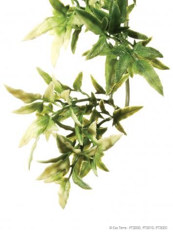 hanging croton plant Exo Terra Croton Hanging Plant Large