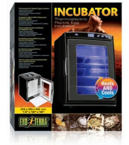 Exo terra egg incubator discount