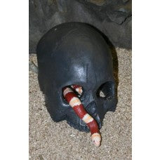 Pet Tekk Human Skull Hide