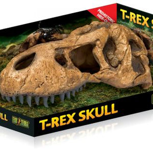 Exo Terra T-Rex Skull Terrarium Decor Large