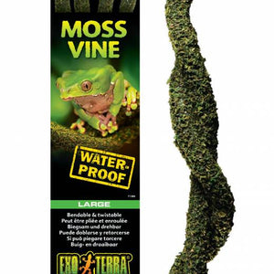 Exo Terra Moss Vine