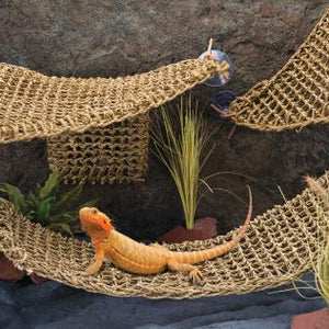 Penn Plax Corner Lizard Lounger