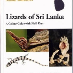 Lizards of Sri Lanka