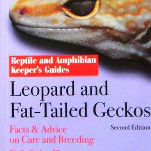 Leopard and Fat Tailed Geckos