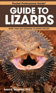 Guide to Lizards