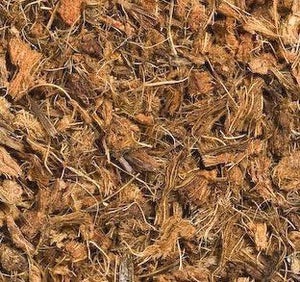 Painted Reptile Coco Soft Chips