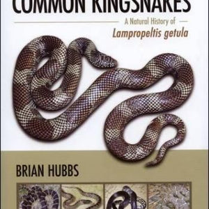Common Kingsnakes - A Natural History