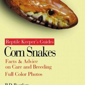Corn Snakes