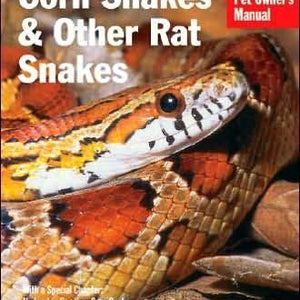 Corn Snakes & Other Rat Snakes