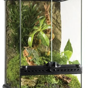 Exo Terra Glass Terrarium