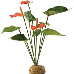 Exo Terra Anthurium Bush Plant