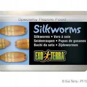Exo Terra Canned Silkworms