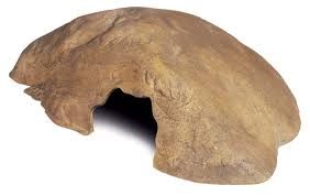 Exo Terra Reptile Cave