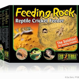 Exo Terra Cricket Feeding Rock