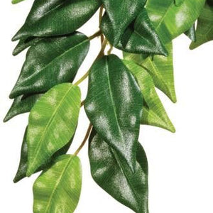 Exo Terra Ficus Hanging Plant Large