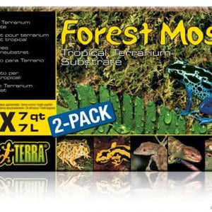 Exo Terra Forest Moss (2 Pk)