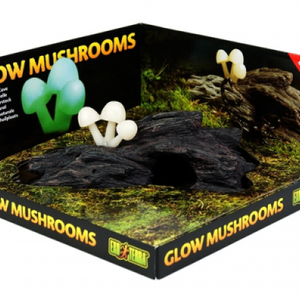 Exo Terra Glo Mushrooms Hideout