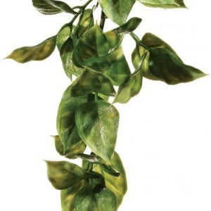 Exo Terra Large Amapallo Jungle Plant