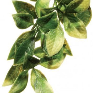 Exo Terra Mandarin Hanging Plant Large