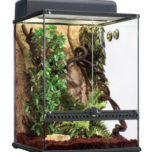 Exo Terra Rainforest Habitat Kit
