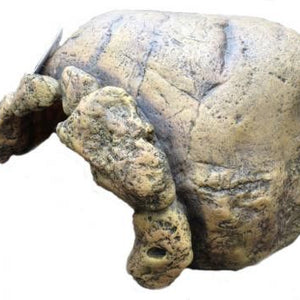 Exo Terra Tortoise Cave