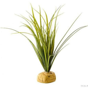 Exo Terra Turtle Grass