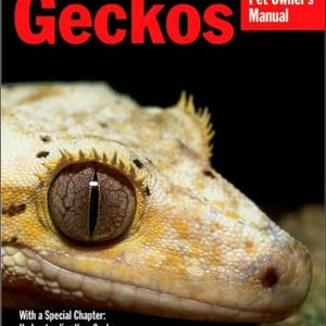 Geckos Care Book