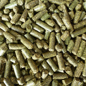 Painted Reptile High Fiber Alfalfa Pellet Bedding