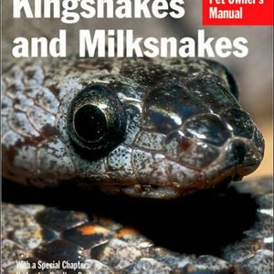 Kingsnakes & Milksnakes