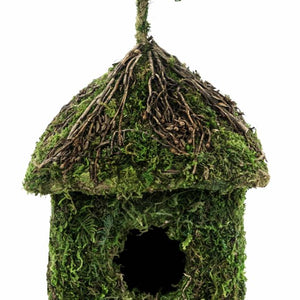 Galapagos Vines Raindrop Hide/Birdhouse