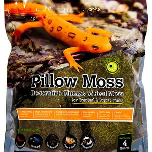 Galapagos Royal Pillow Moss 8 Quart