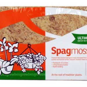 New Zealand Sphagnum Moss