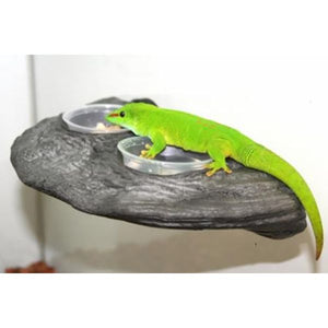 Pet Tekk Magnatural Gecko Ledge