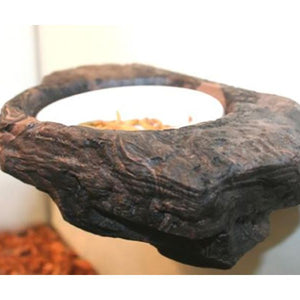 Pet Tekk Worm Feeder Ledge