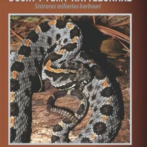 The Diminutive Dusky Pygmy Rattlesnake