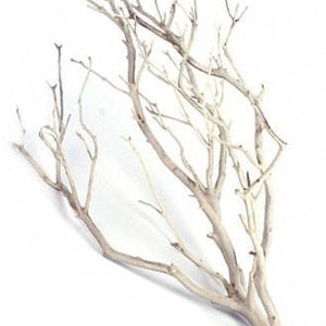 Sandblasted Manzanita