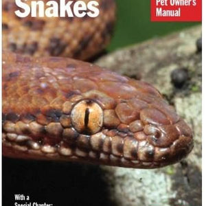 Snakes - Complete Guide