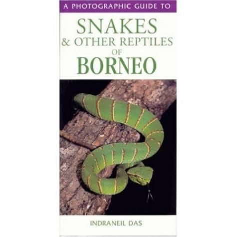 Snakes & Other Reptiles of Borneo - The Painted Reptile
