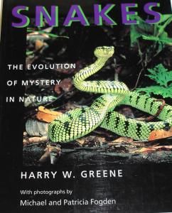Snakes - The Evolution of Mystery in Nature