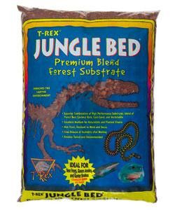 T-Rex Jungle Bedding