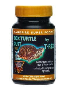 T-Rex Box Turtle Dust - The Painted Reptile