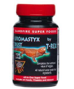 T-Rex Uromastyx Dust