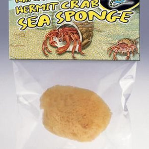 Zoo Med Tarantula/Hermit Crab Sponge