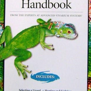 The Lizard Keeper's Handbook