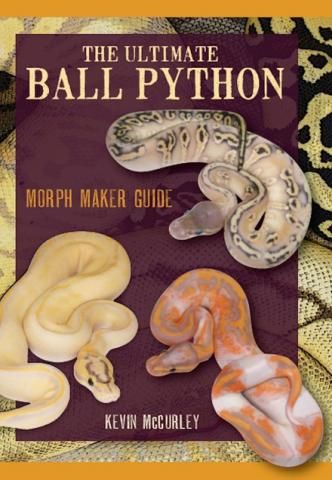 The Ultimate Ball Python: Morph Makers Guide | BUY reptile supplies ...