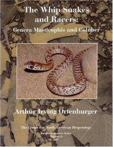 The Whip Snakes and Racers