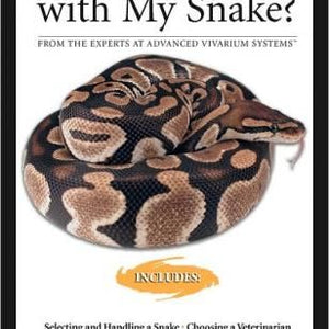 What's wrong with my Snake?