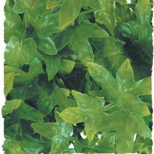 Zoo Med Congo Ivy Plant